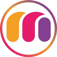 MetaSoul Tech Solutions Logo